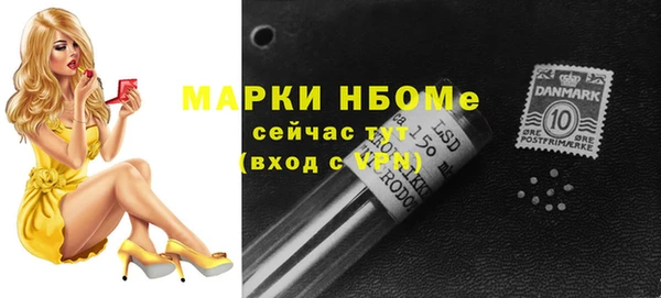 индика Алзамай