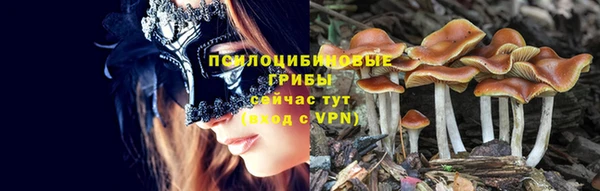 индика Алзамай