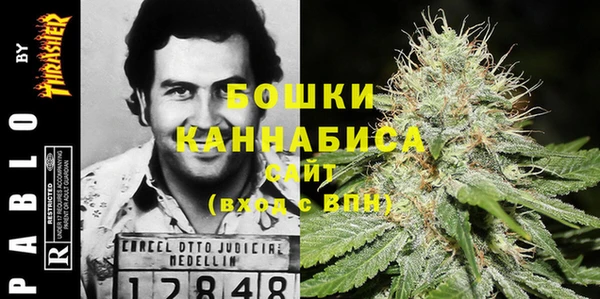 индика Алзамай